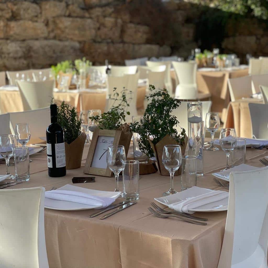 WhatsApp Image 2026-01-25 at 18.11.21 (1)